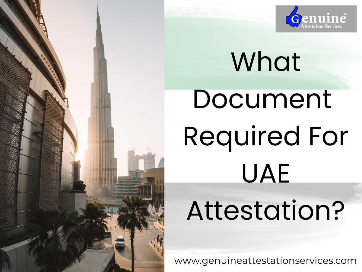 Everything You Need To About Legalization of Documents in UAE