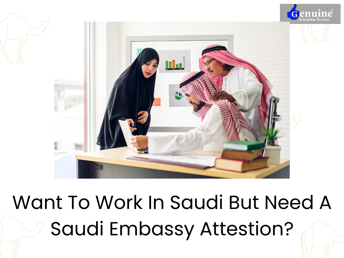 saudi embassy attestation procedure
